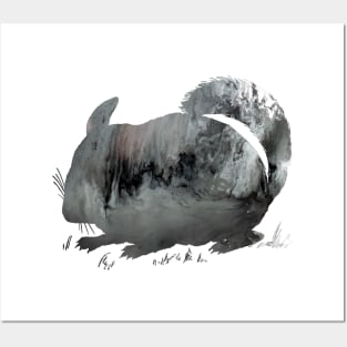 Chinchilla Posters and Art